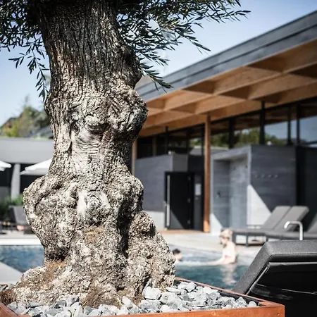 La Source Des Sens (adults Only) 4* Morsbronn-les-Bains