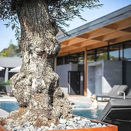 La Source Des Sens (adults Only) 4* 모스브론레뱅